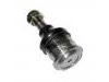 Ball Joint:0305-99-356A