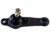 Joint de suspension Ball Joint:MB349907